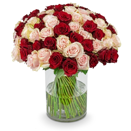 Bouquet of pink and red roses